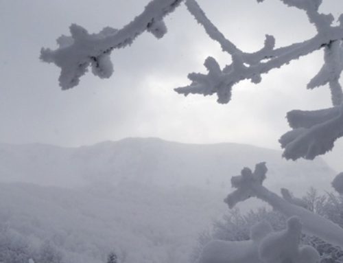 Bieszczady na zimowo