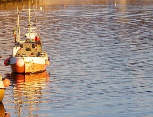 Loppa 2015 Wędkarski Raj