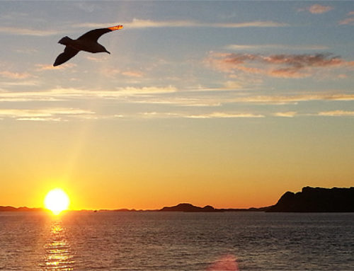 Kvarøy 2016 – wyspa wśród fiordów